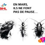 Nuisibles à La Réunion