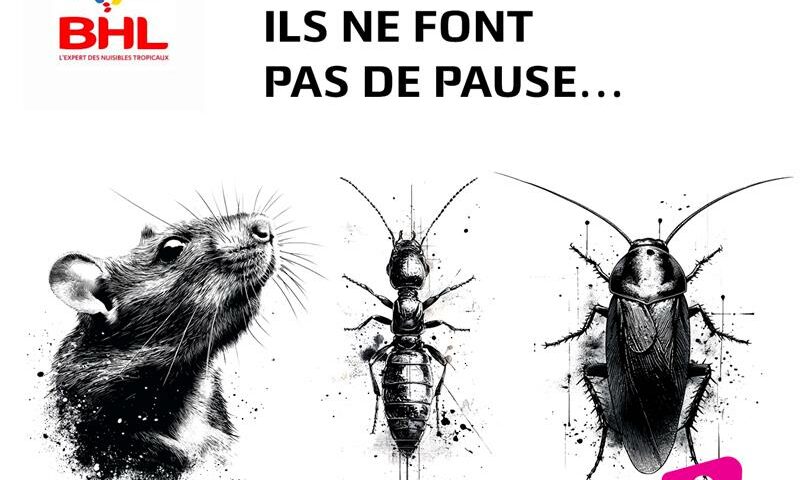 Nuisibles à La Réunion