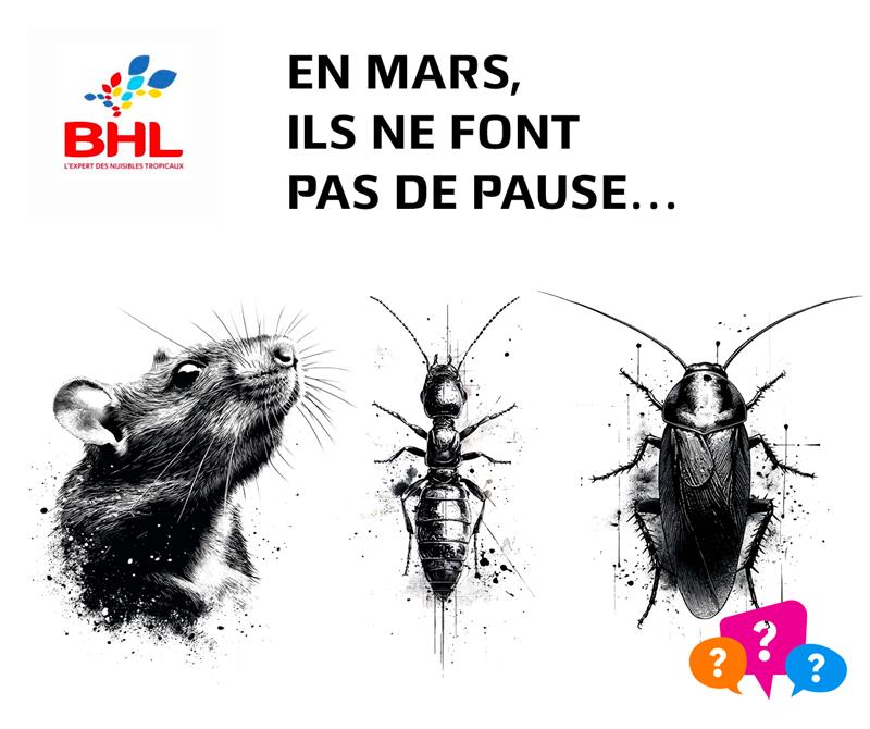 Nuisibles à La Réunion