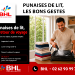 punaise de lit à la réunion